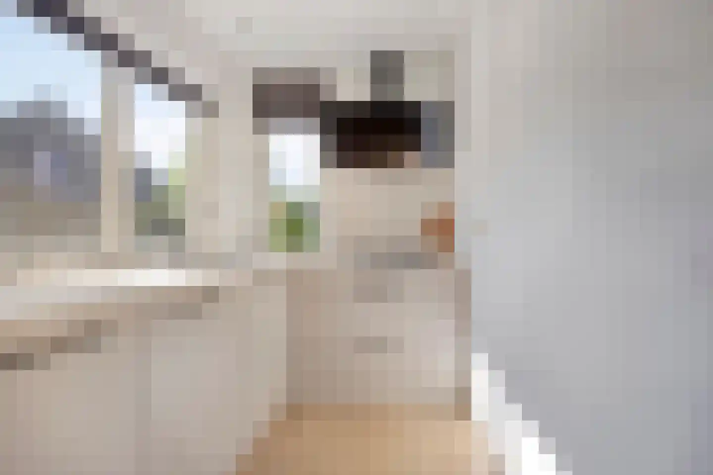 Ooievaarshorst 24 Grave thumbnail 28
