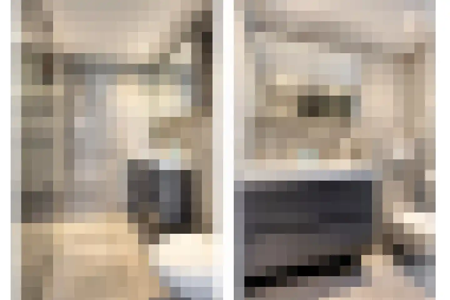 Ooievaarshorst 24 Grave thumbnail 39