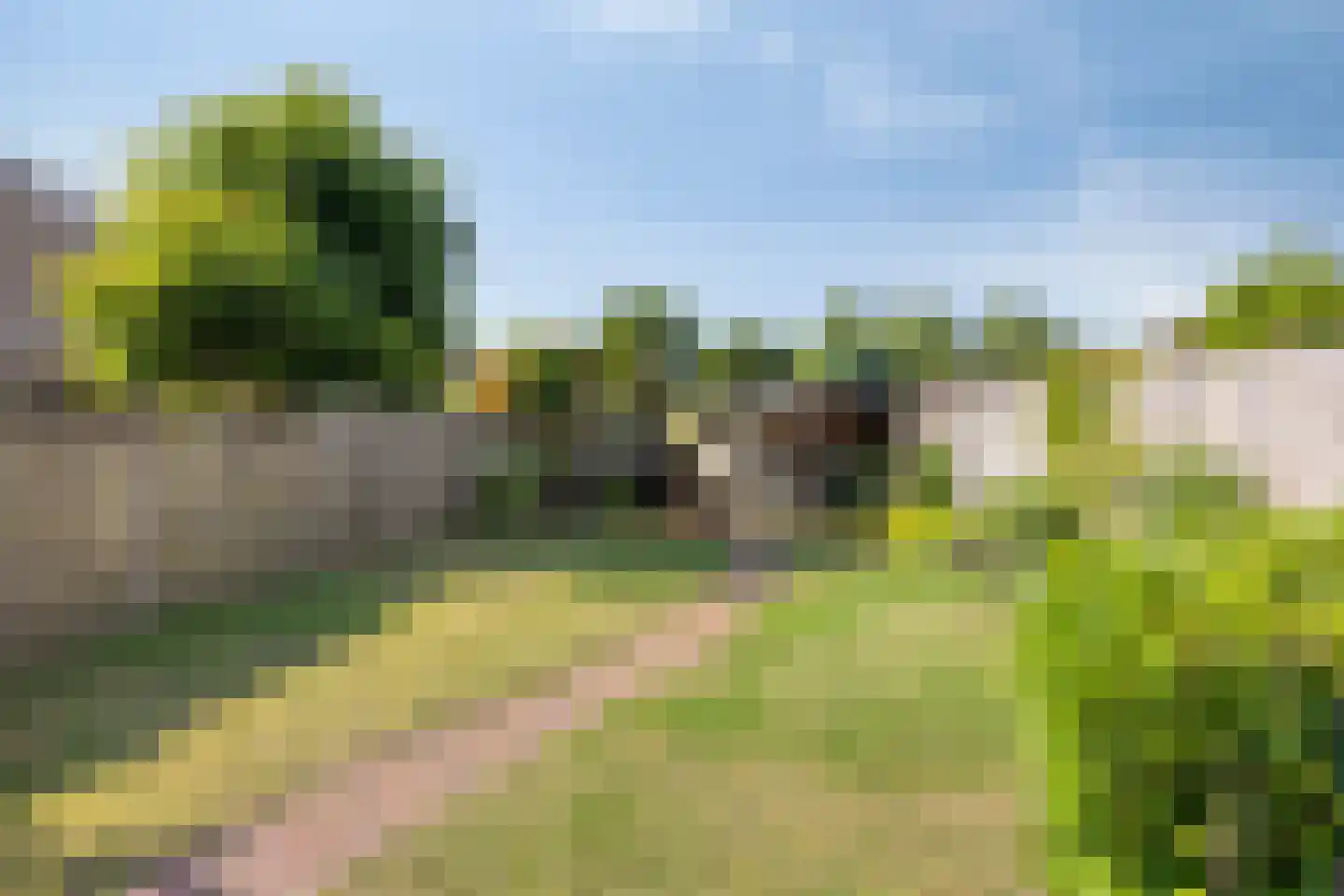 Ooievaarshorst 24 Grave thumbnail 4