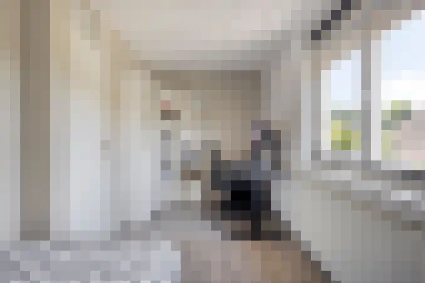 Ooievaarshorst 24 Grave thumbnail 41