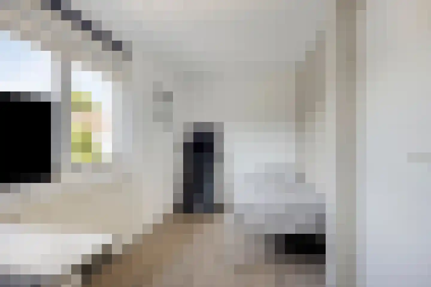 Ooievaarshorst 24 Grave thumbnail 42