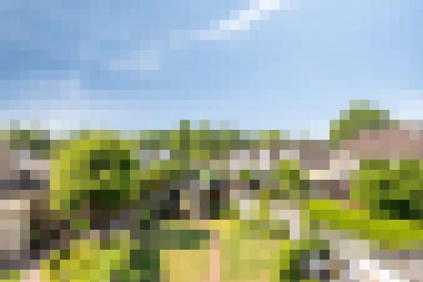 Ooievaarshorst 24 Grave thumbnail 46