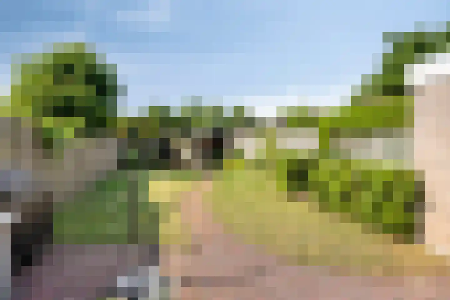 Ooievaarshorst 24 Grave thumbnail 47