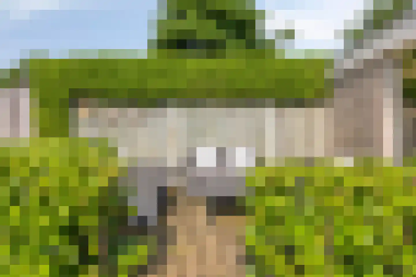 Ooievaarshorst 24 Grave thumbnail 49