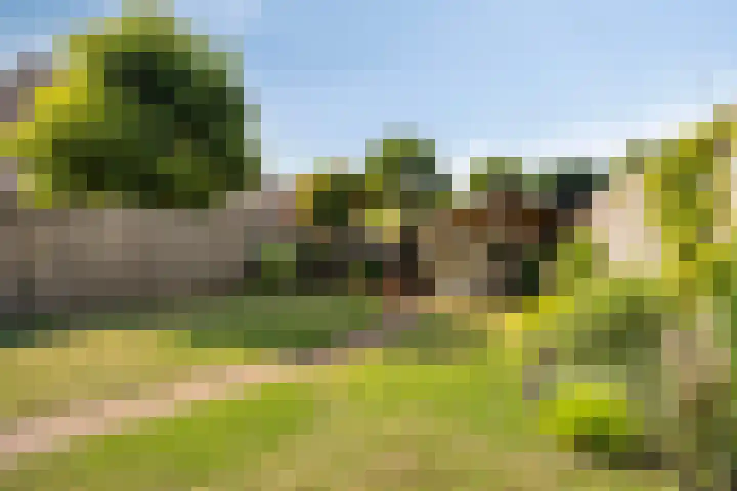 Ooievaarshorst 24 Grave thumbnail 50