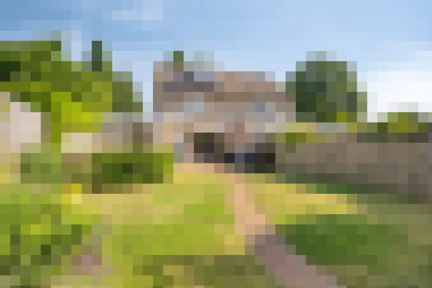 Ooievaarshorst 24 Grave thumbnail 52