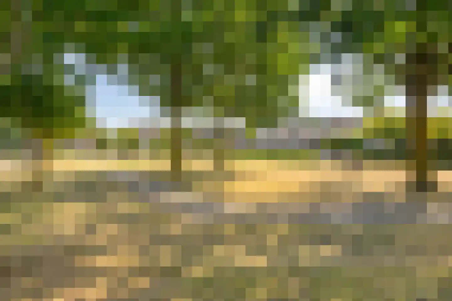 Ooievaarshorst 24 Grave thumbnail 55