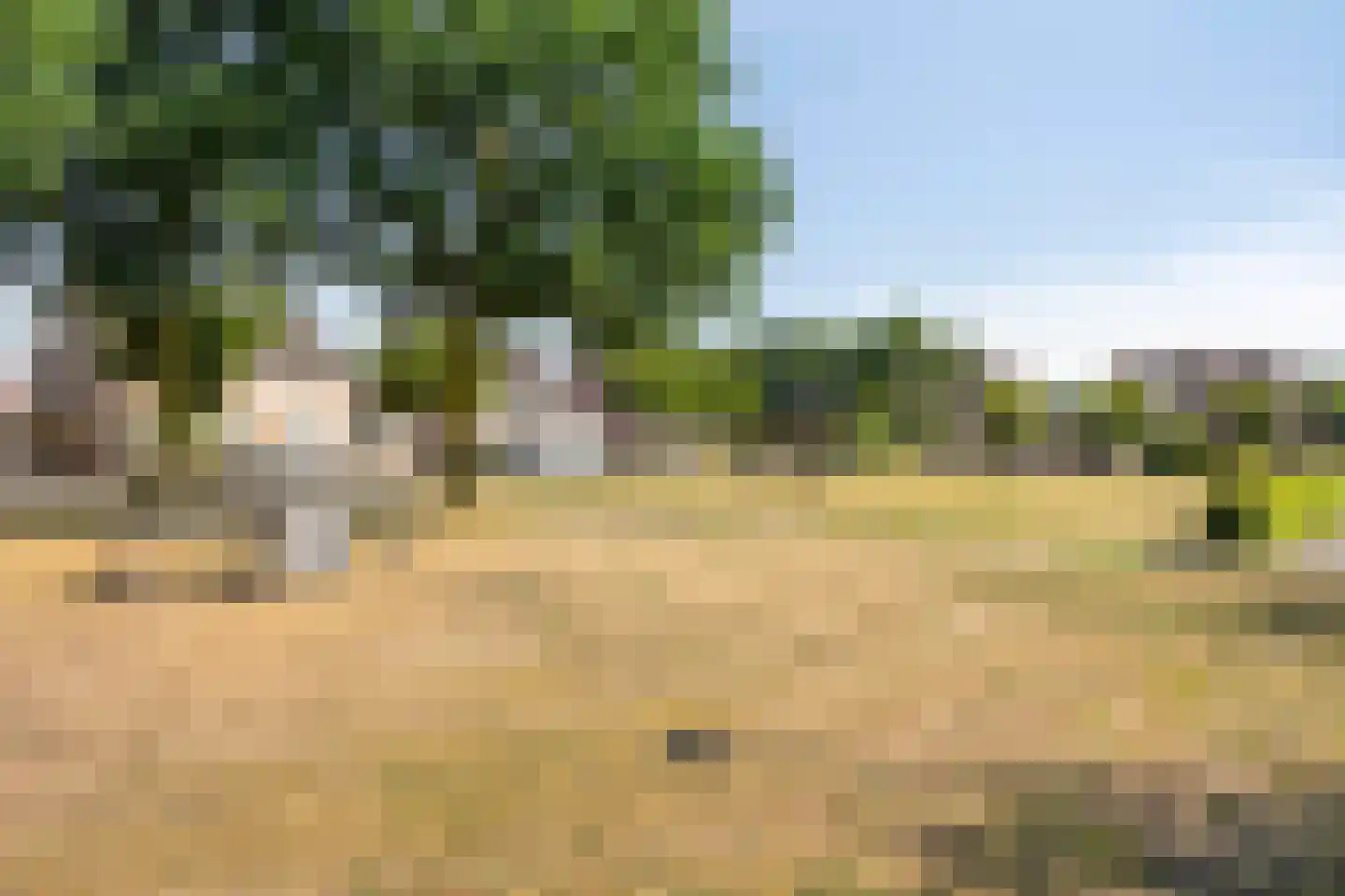 Ooievaarshorst 24 Grave thumbnail 56