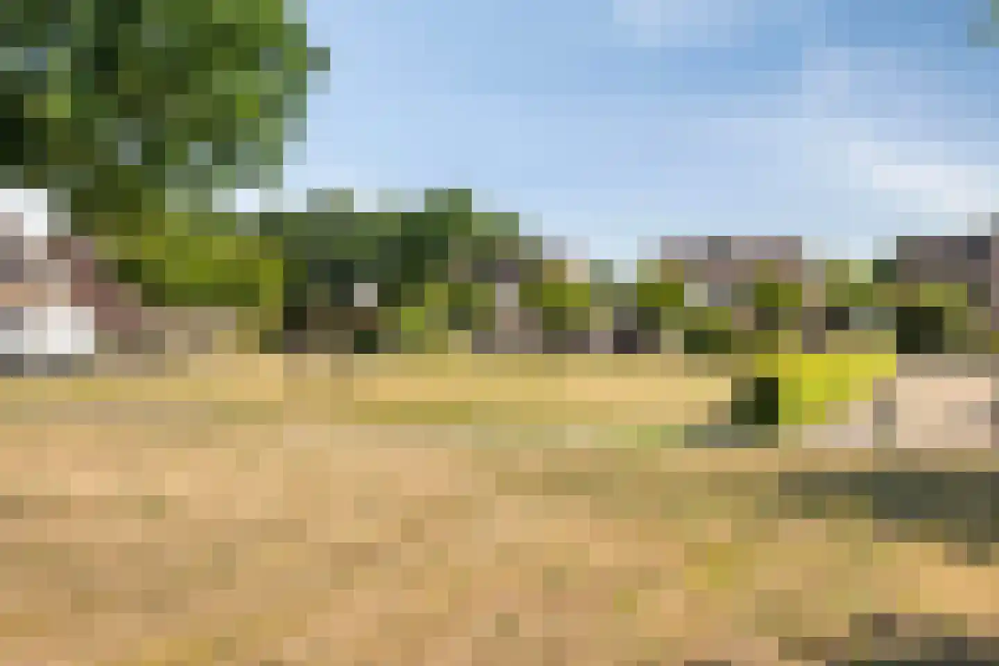 Ooievaarshorst 24 Grave thumbnail 57