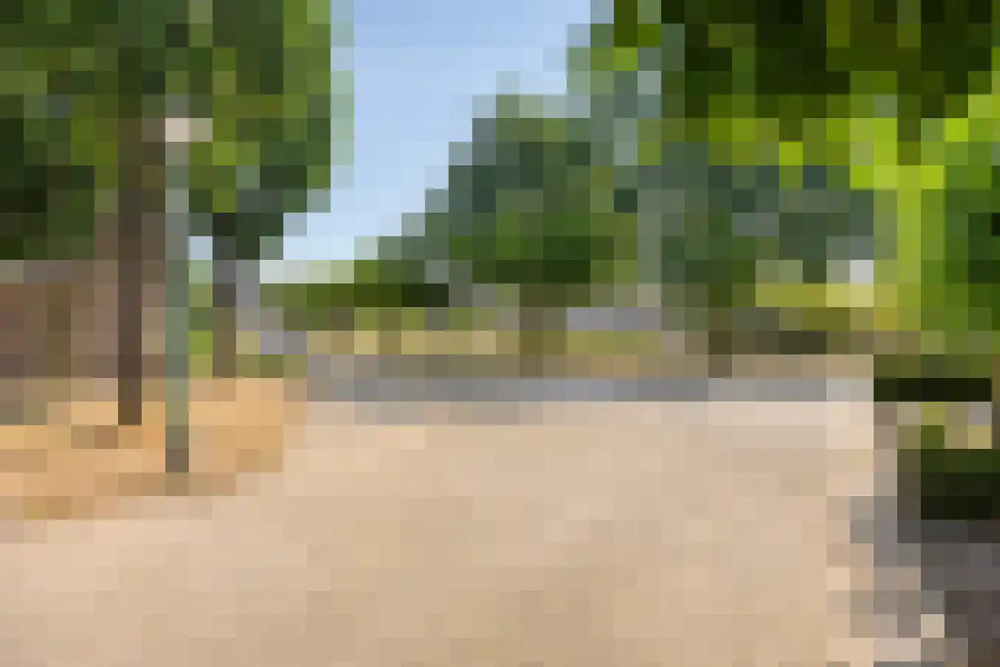 Ooievaarshorst 24 Grave thumbnail 6