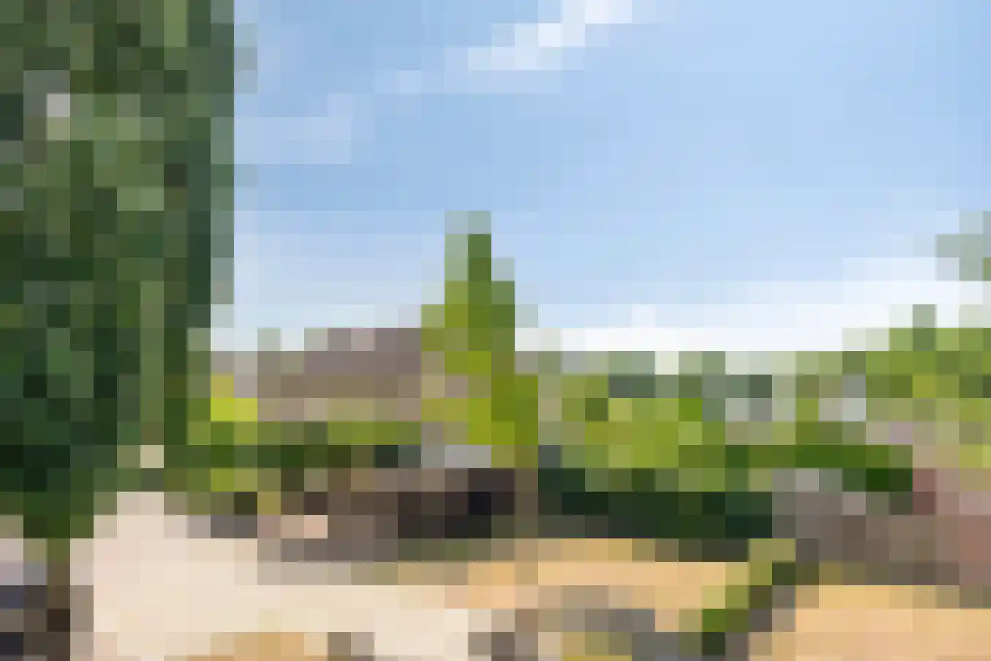 Ooievaarshorst 24 Grave thumbnail 8