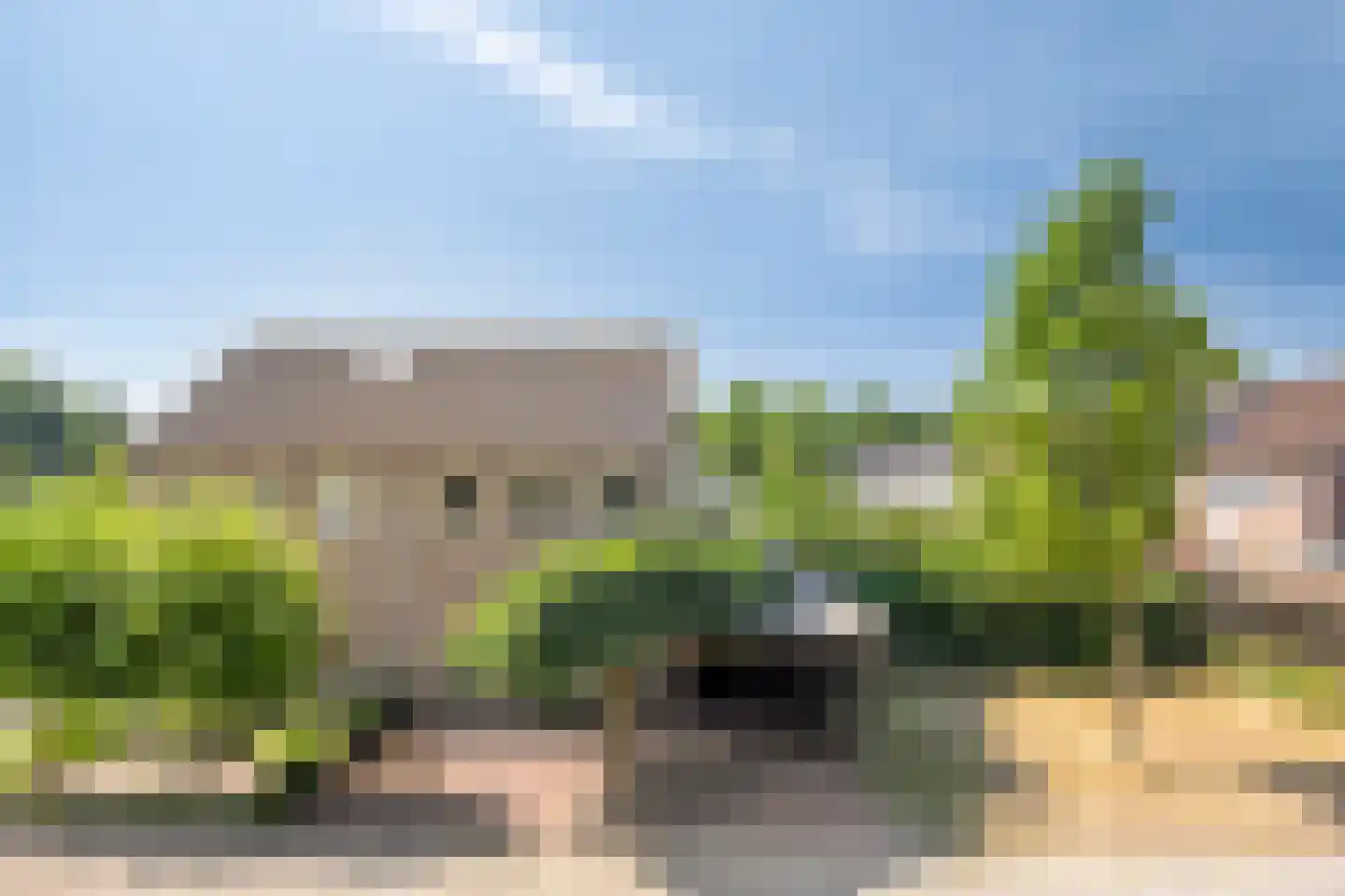 Ooievaarshorst 24 Grave thumbnail 9