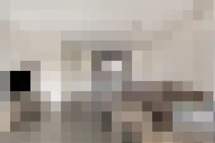 Ooievaarshorst 6 Grave thumbnail 11