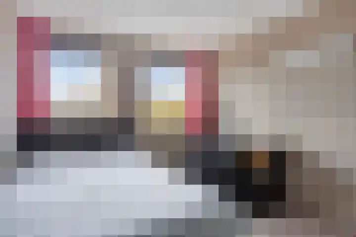 Ooievaarshorst 6 Grave thumbnail 16