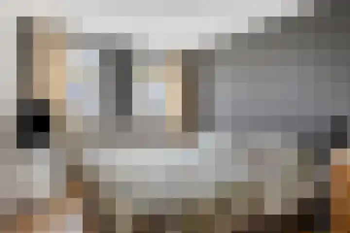 Ooievaarshorst 6 Grave thumbnail 19
