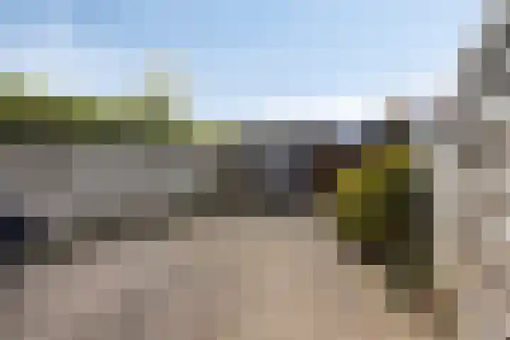 Ooievaarshorst 6 Grave thumbnail 26