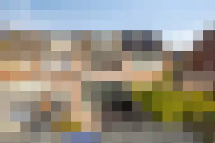 Ooievaarshorst 6 Grave thumbnail 30
