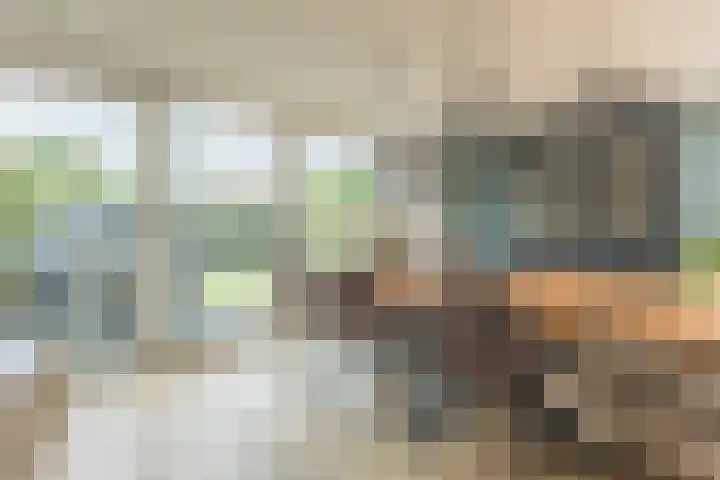 Ooievaarshorst 73 Grave thumbnail 11