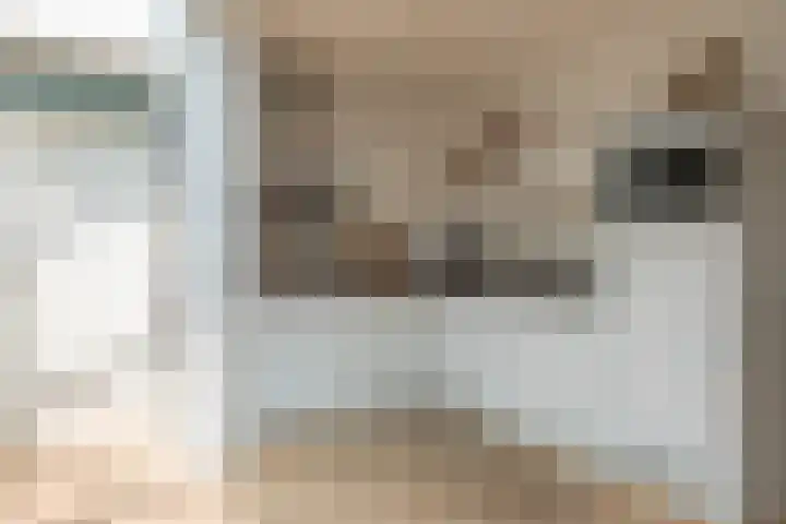 Ooievaarshorst 73 Grave thumbnail 12
