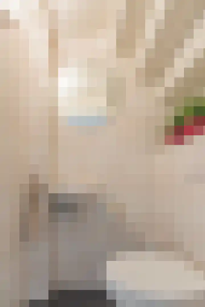 Ooievaarshorst 73 Grave thumbnail 17