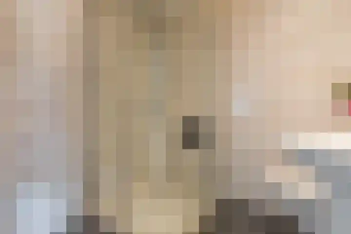 Ooievaarshorst 73 Grave thumbnail 22