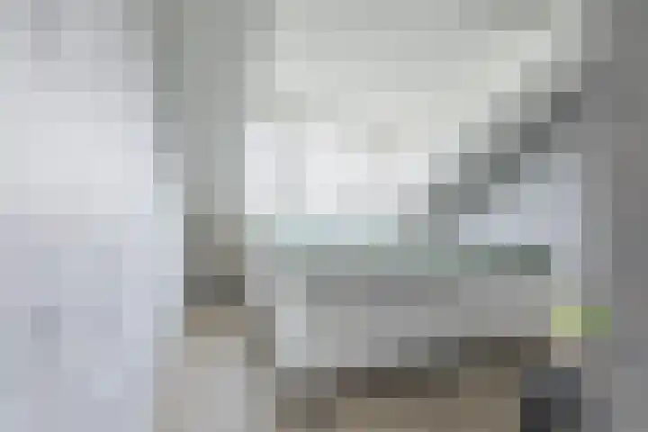 Ooievaarshorst 73 Grave thumbnail 28