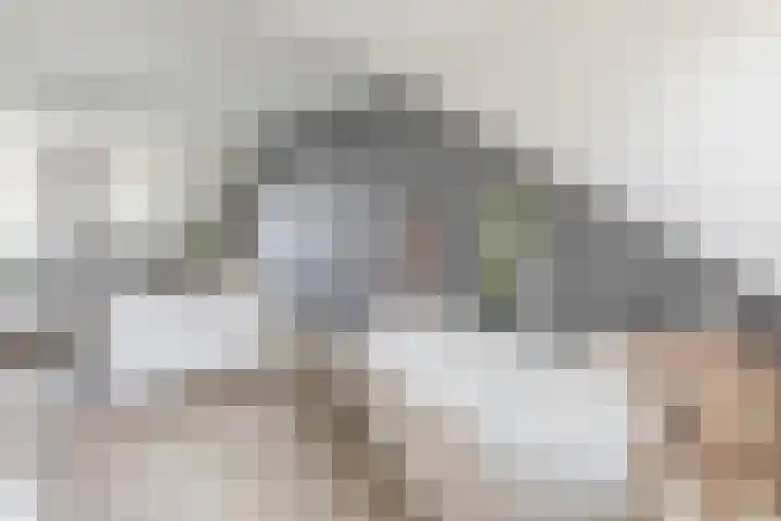 Ooievaarshorst 73 Grave thumbnail 29