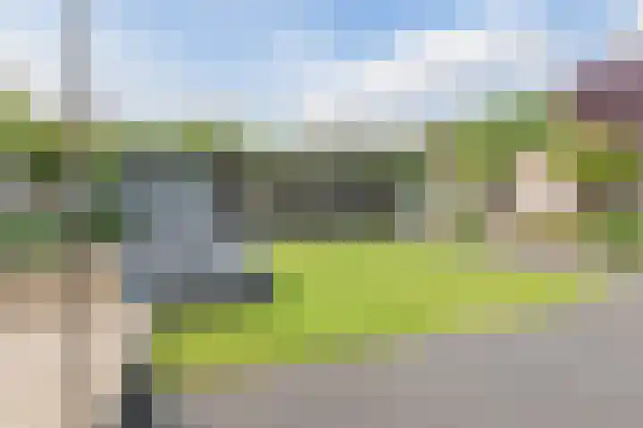 Ooievaarshorst 73 Grave thumbnail 33