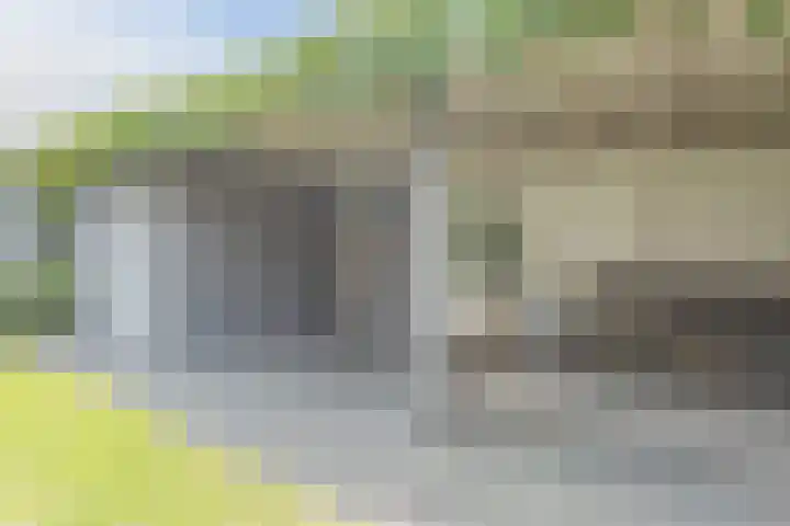 Ooievaarshorst 73 Grave thumbnail 34