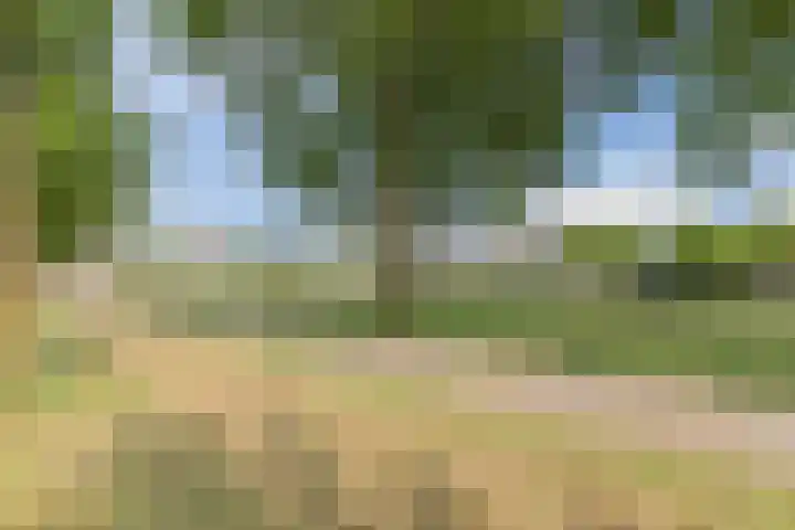 Ooievaarshorst 73 Grave thumbnail 39