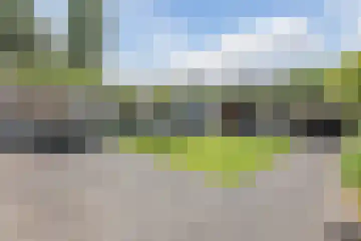 Ooievaarshorst 73 Grave thumbnail 4