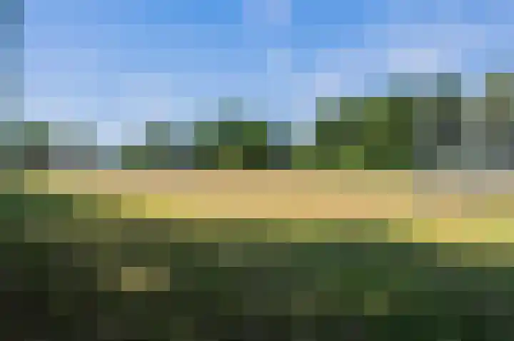 Ooievaarshorst 73 Grave thumbnail 40