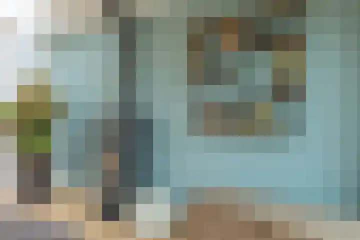 Ooievaarshorst 73 Grave thumbnail 9