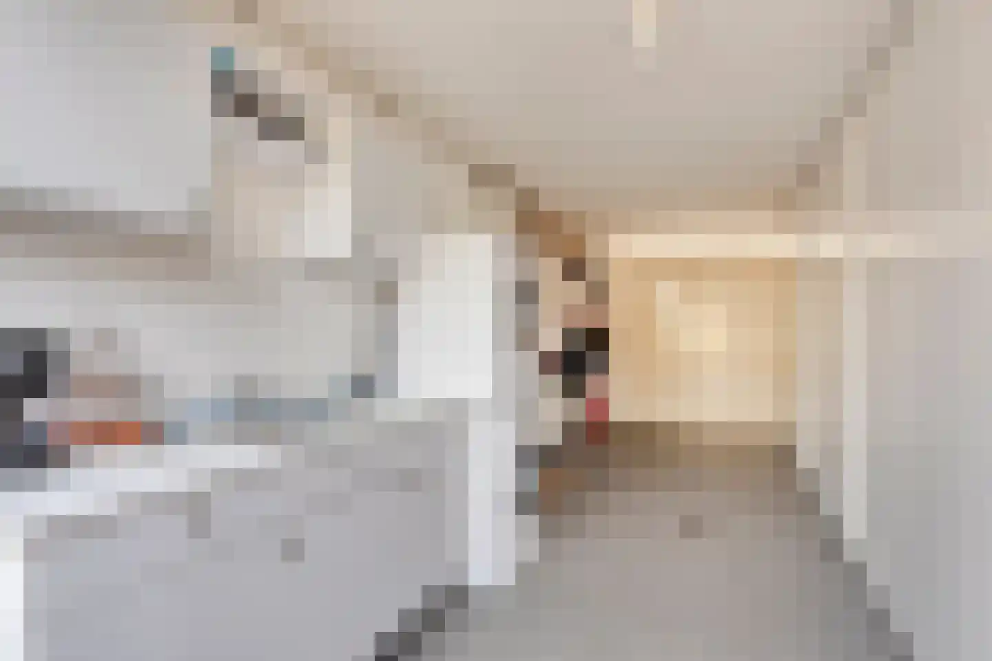 Ooievaarshorst 75 Grave thumbnail 11