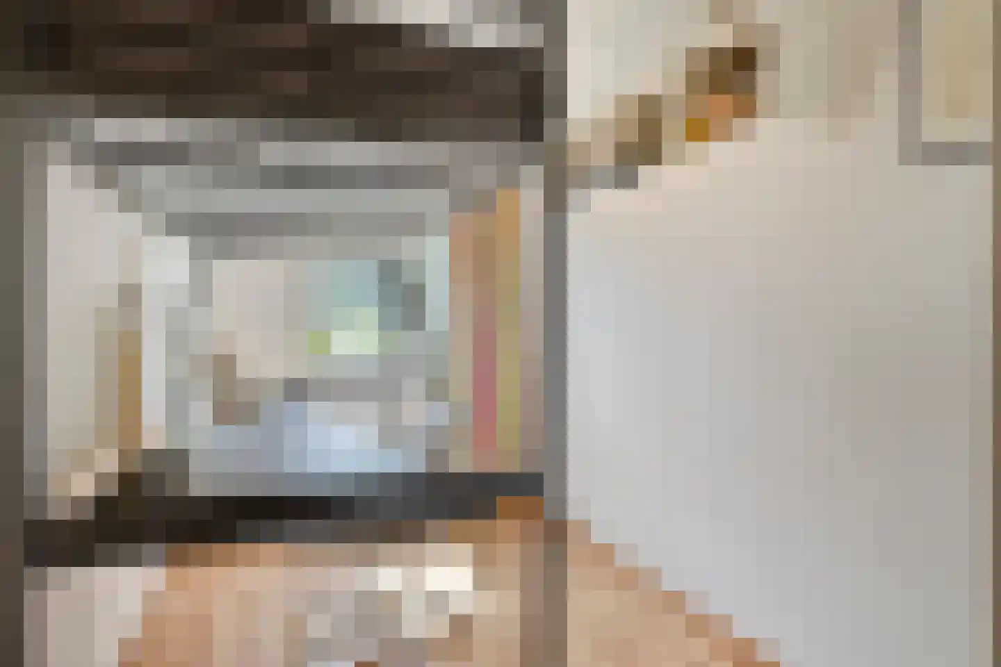 Ooievaarshorst 75 Grave thumbnail 20