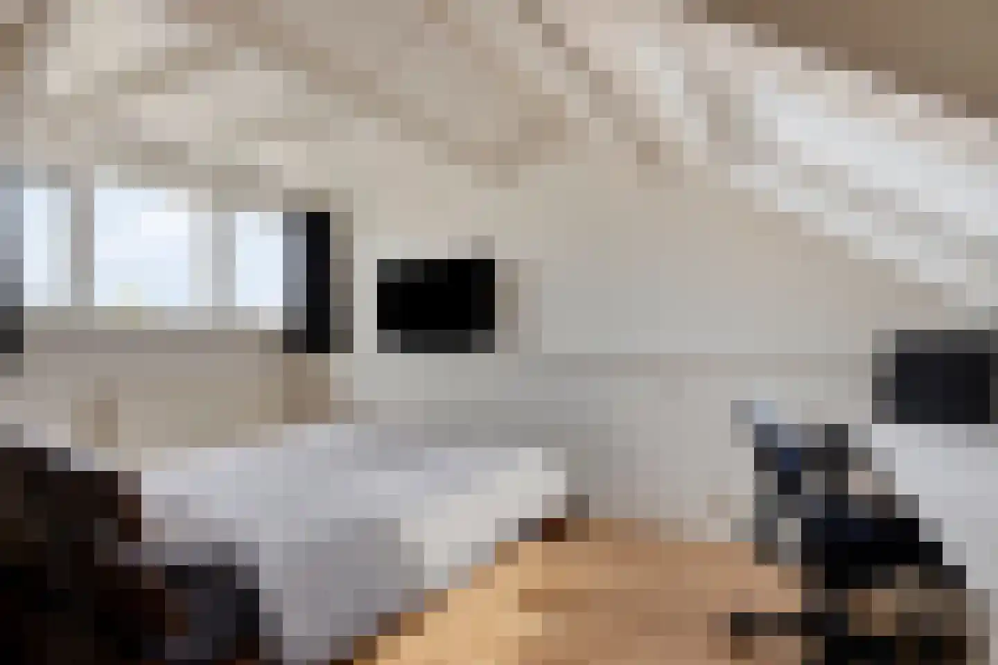 Ooievaarshorst 75 Grave thumbnail 23