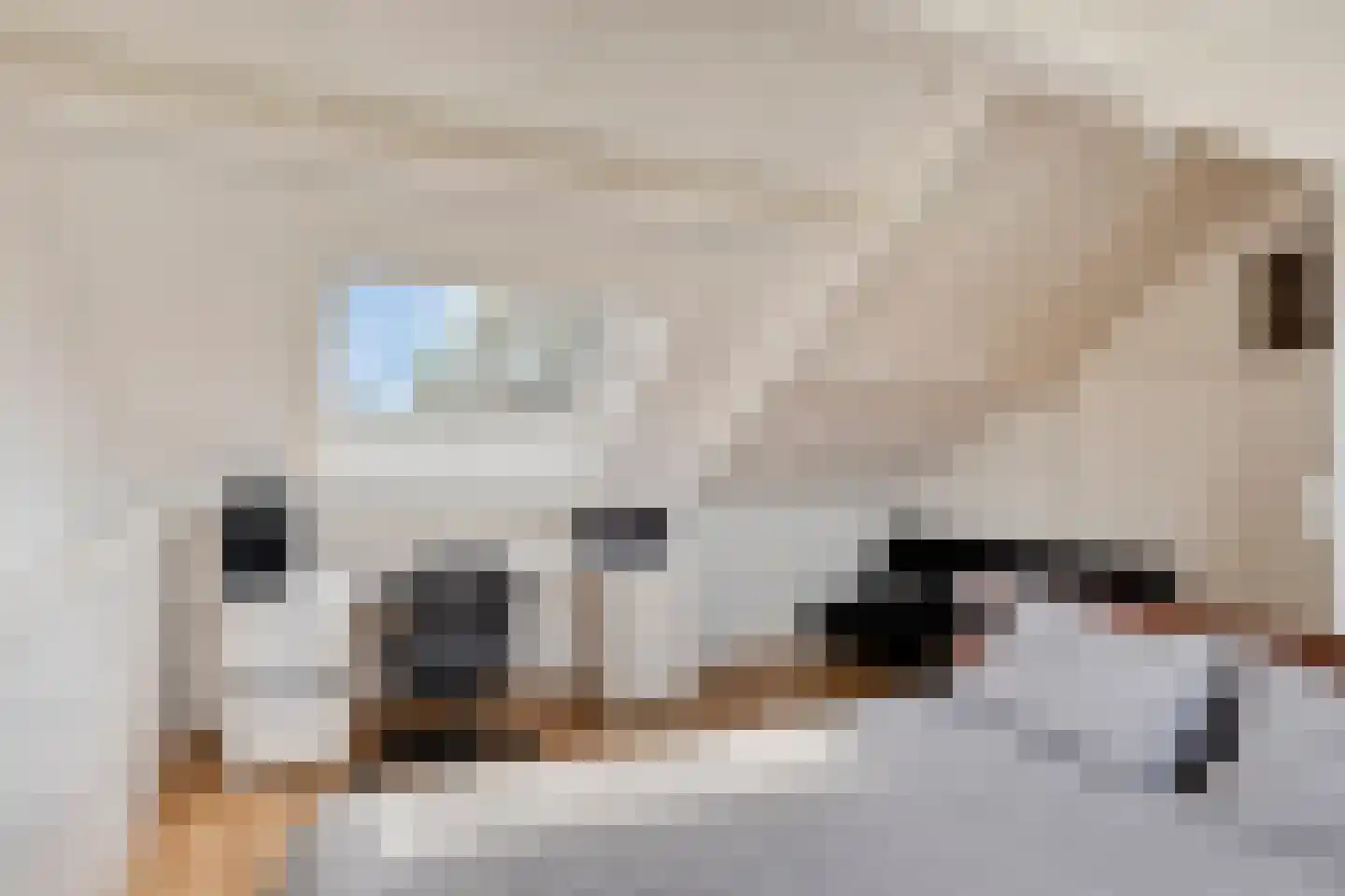 Ooievaarshorst 75 Grave thumbnail 24