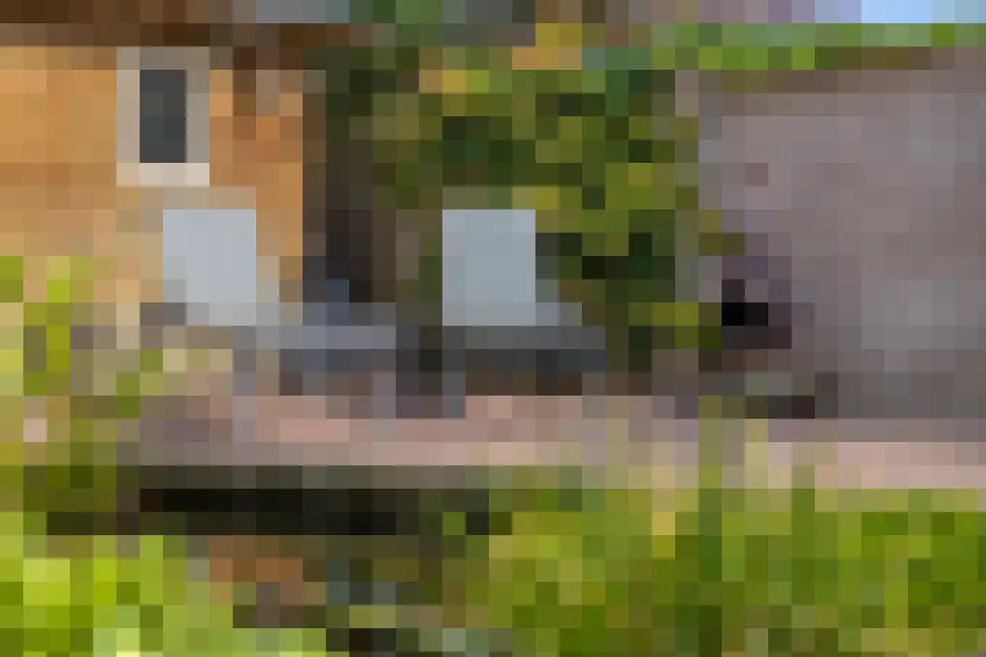 Ooievaarshorst 75 Grave thumbnail 27