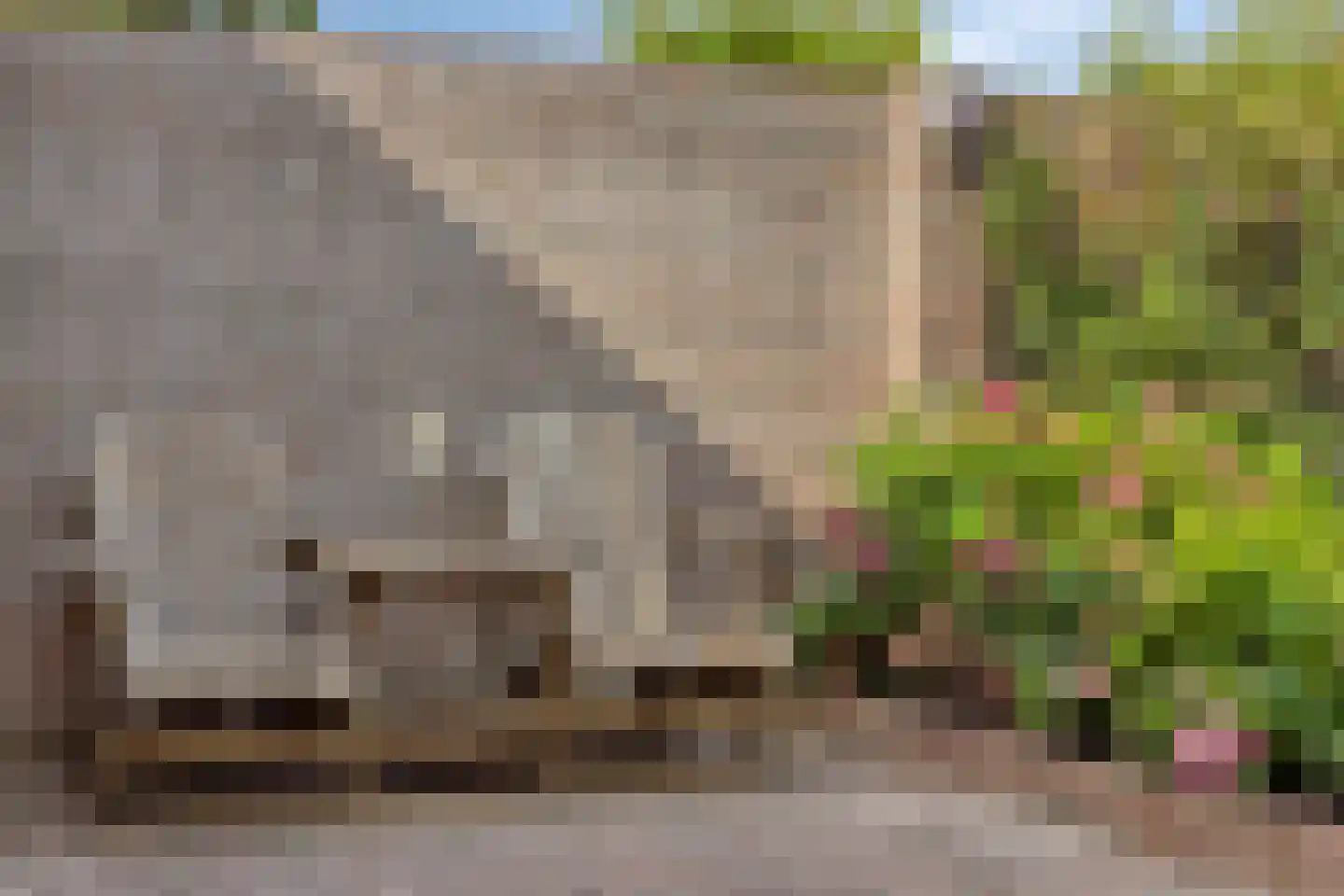 Ooievaarshorst 75 Grave thumbnail 30