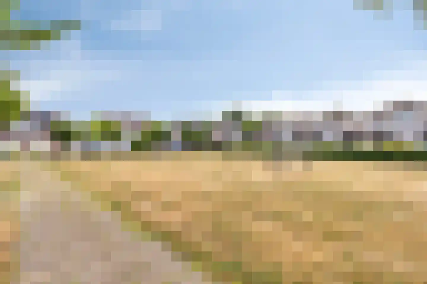 Ooievaarshorst 75 Grave thumbnail 33