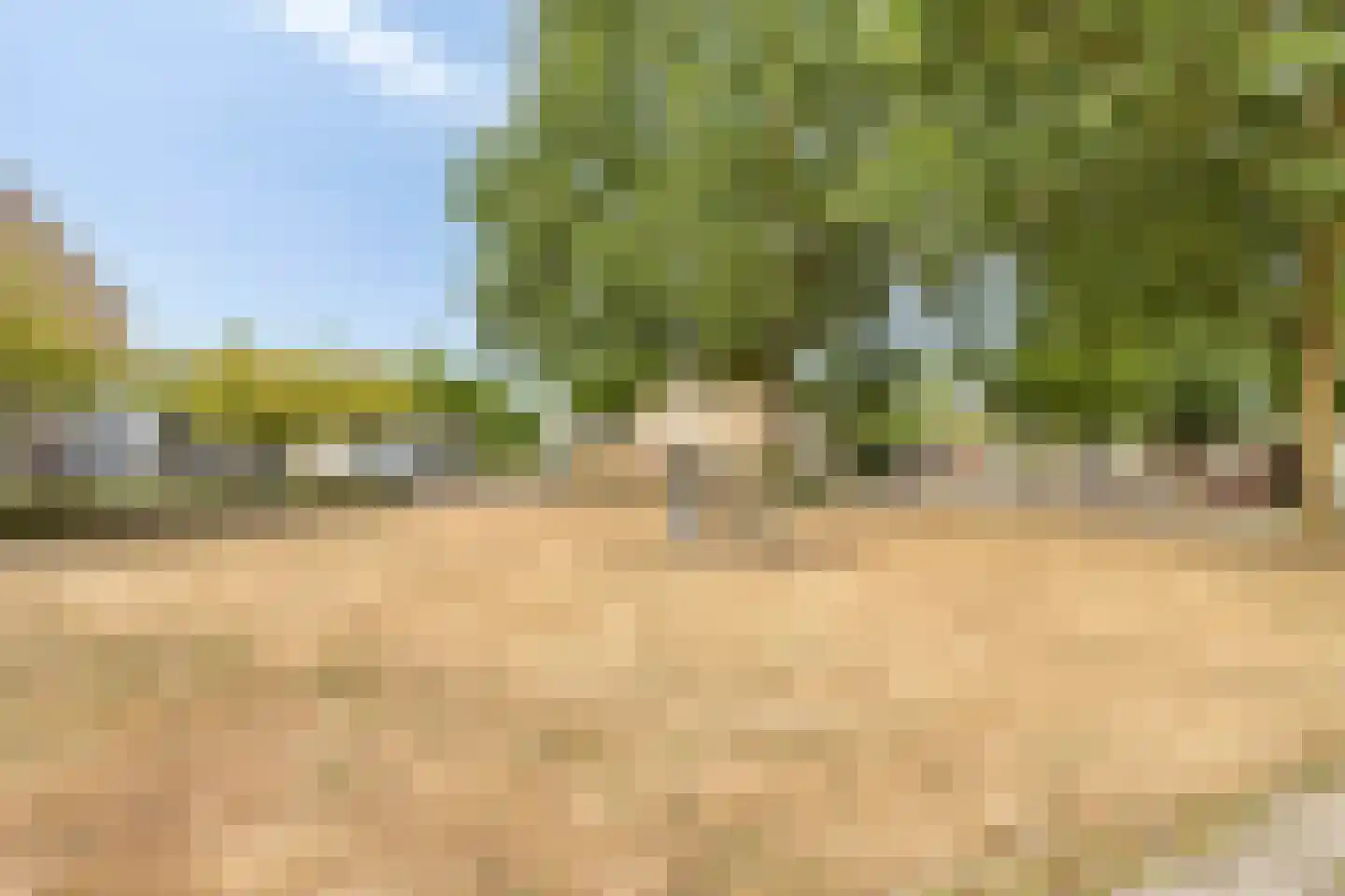 Ooievaarshorst 75 Grave thumbnail 34