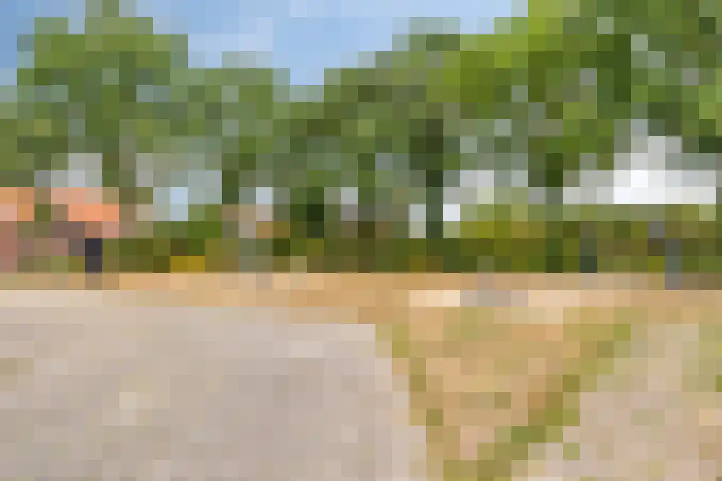 Ooievaarshorst 75 Grave thumbnail 35