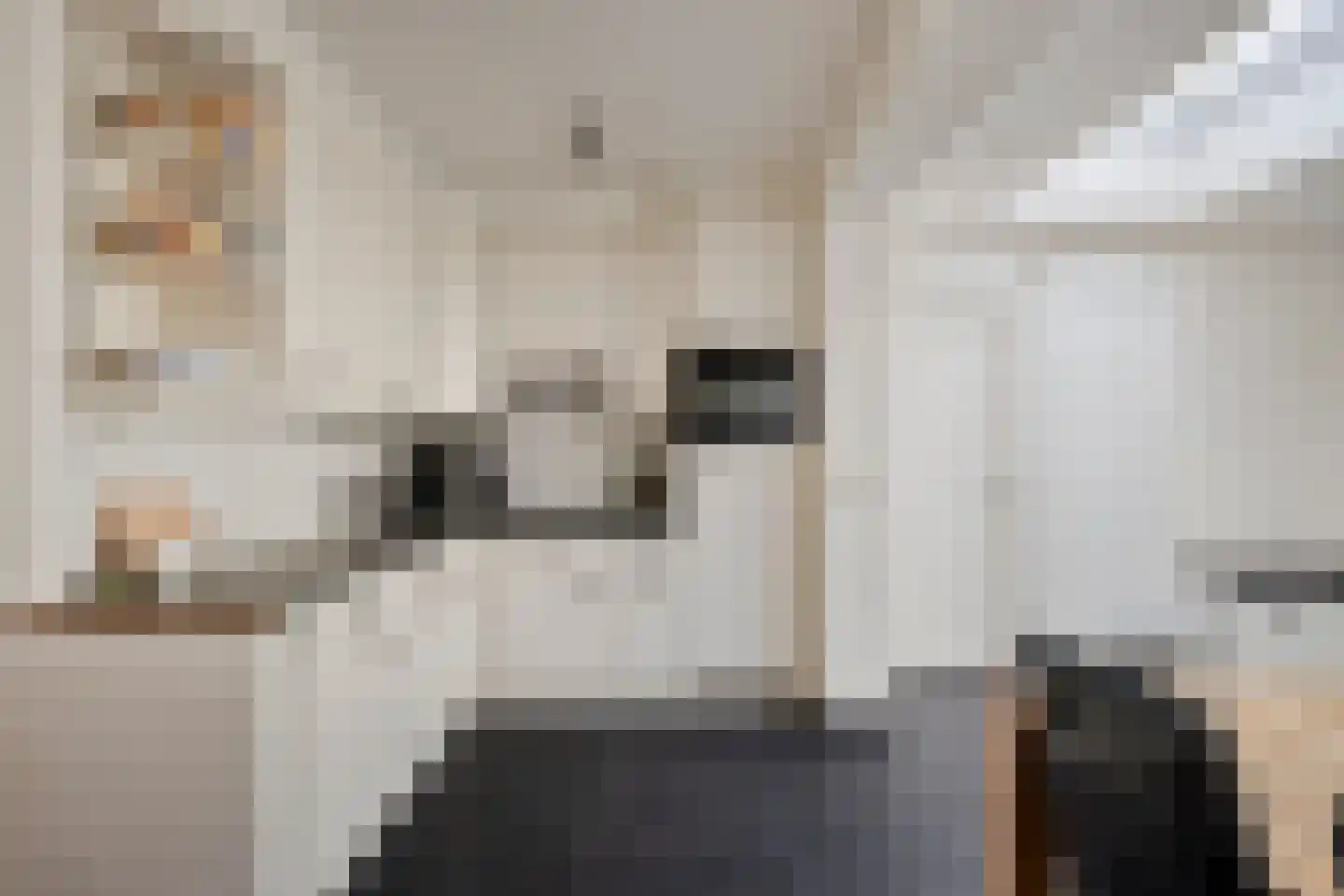 Ooievaarshorst 75 Grave thumbnail 7