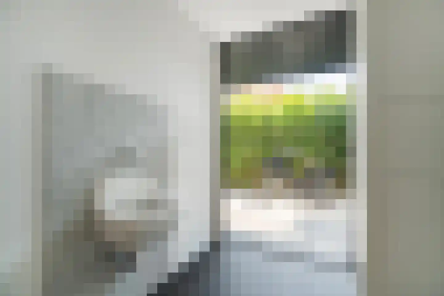 Ooievaarslaan 1 Landsmeer thumbnail 21