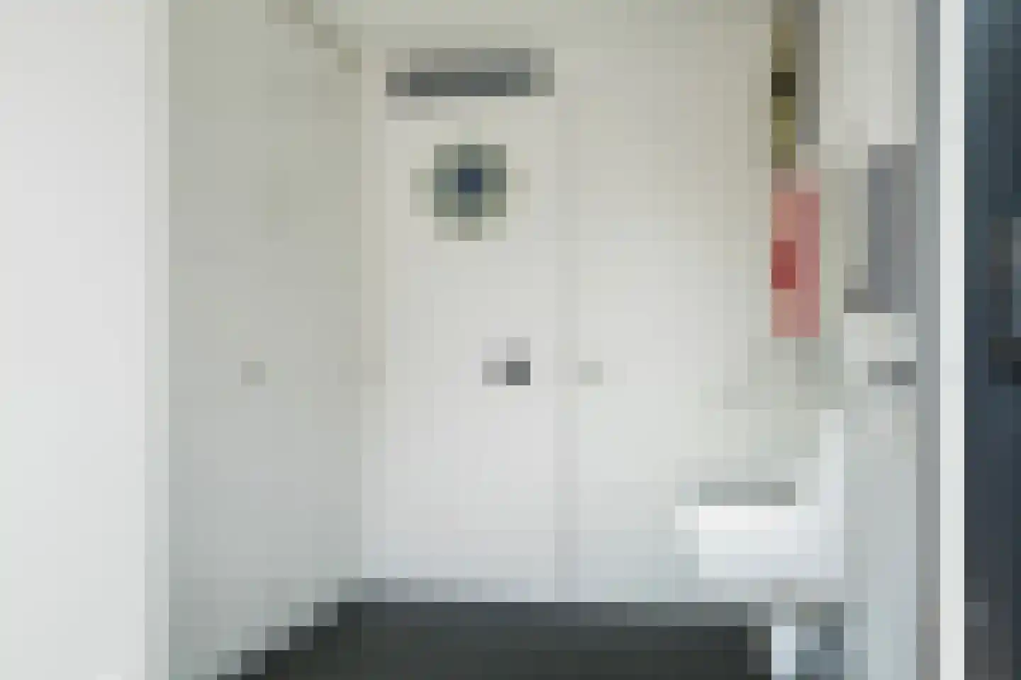 Ooievaarslaan 1 Landsmeer thumbnail 22