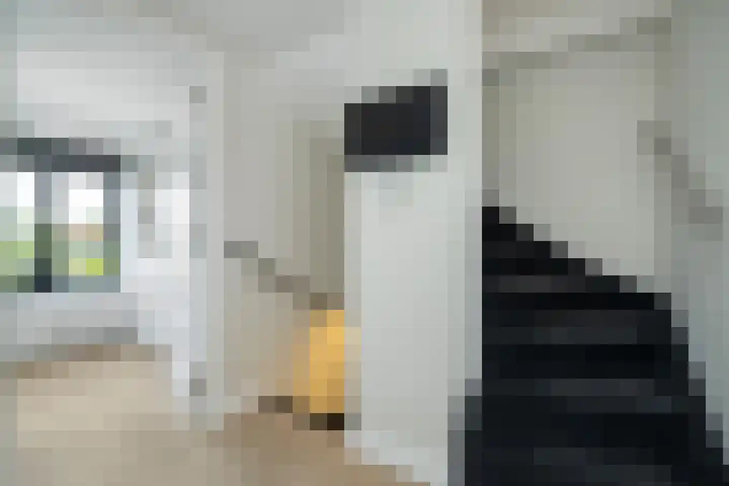 Ooievaarslaan 1 Landsmeer thumbnail 25