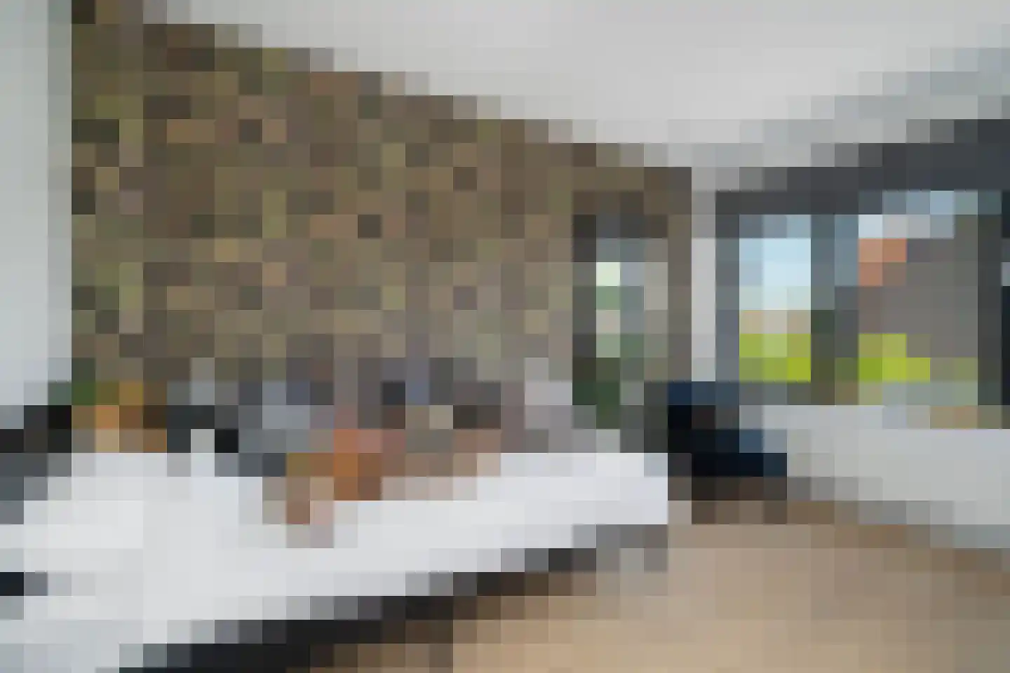 Ooievaarslaan 1 Landsmeer thumbnail 28