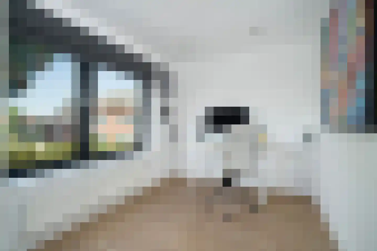 Ooievaarslaan 1 Landsmeer thumbnail 30