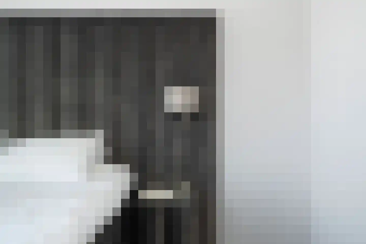 Ooievaarslaan 1 Landsmeer thumbnail 33