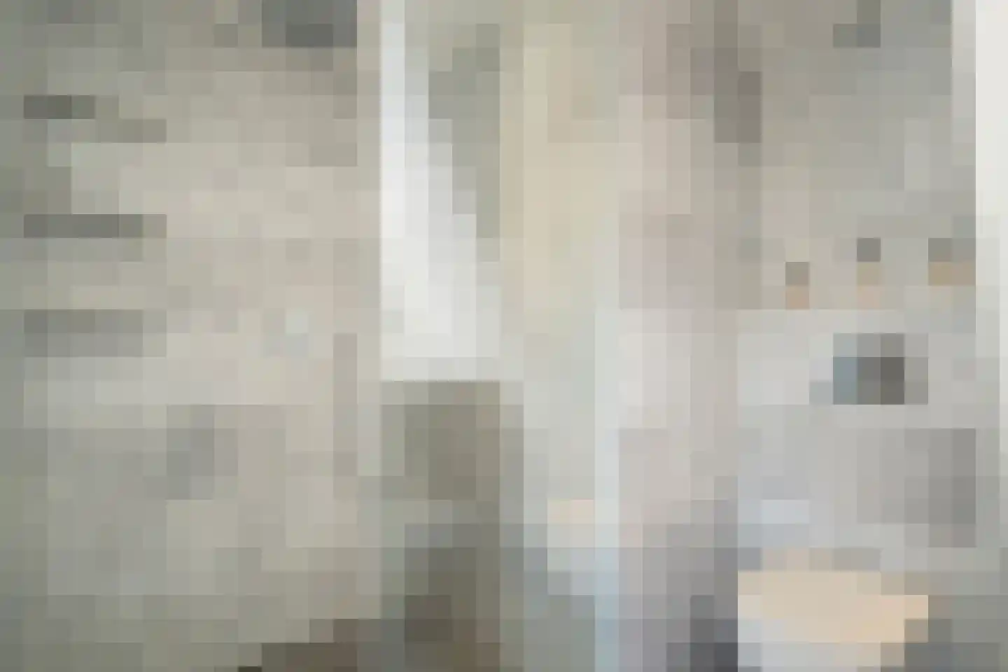 Ooievaarslaan 1 Landsmeer thumbnail 38